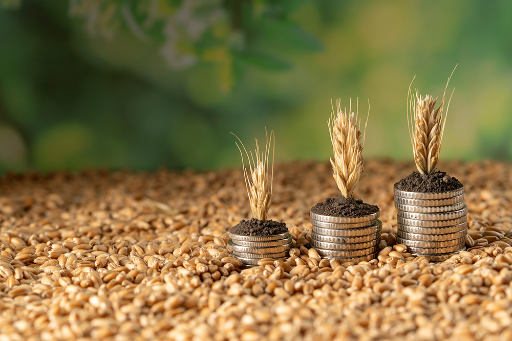 Zes agricoltura 2025